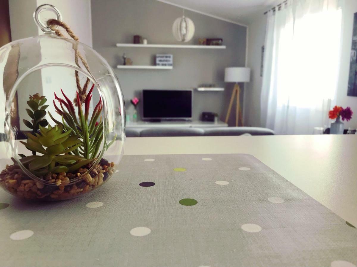 Apartman Marko Primosten Exterior photo